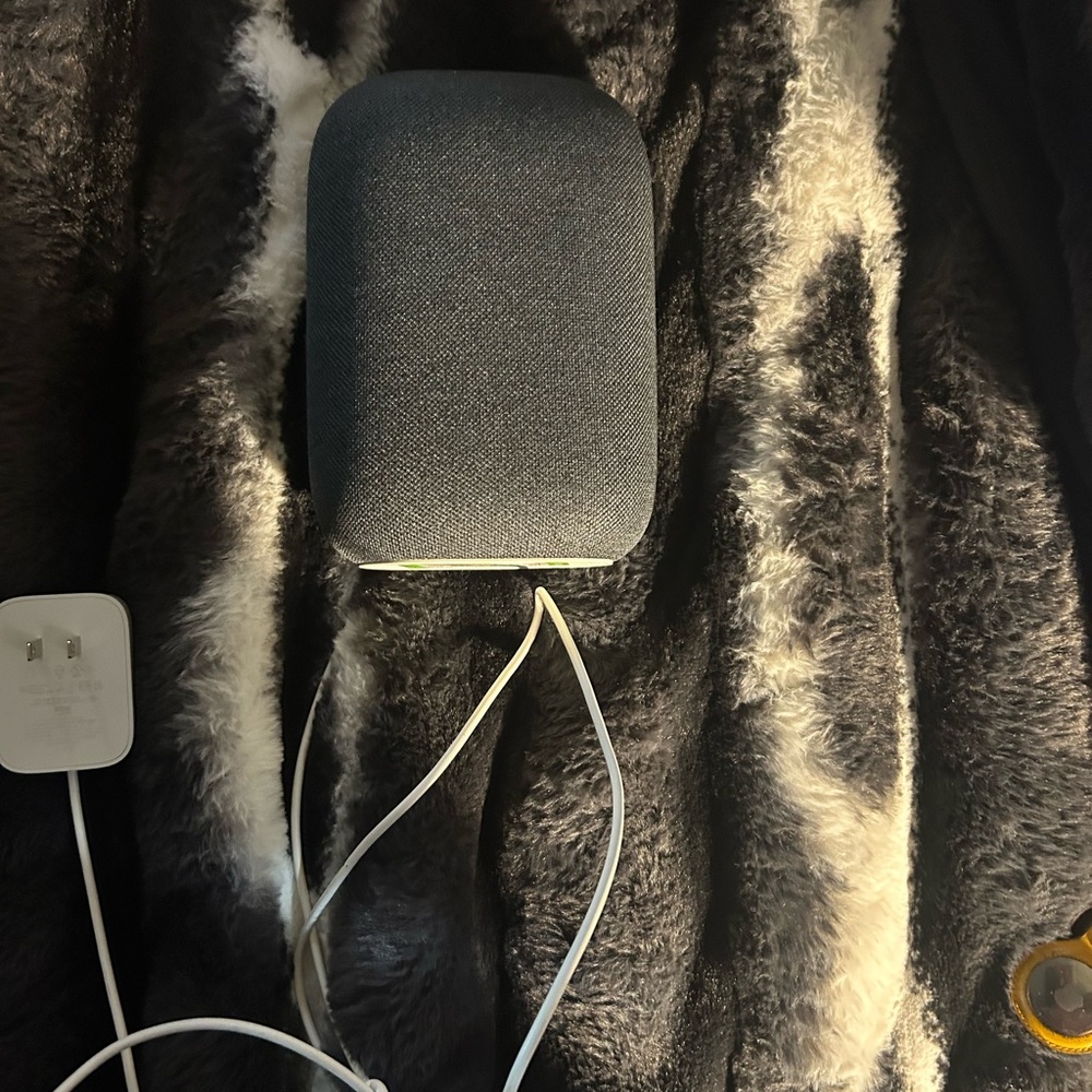 Gray Smart Speaker with Charger